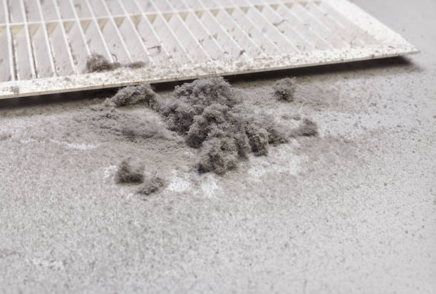 Best Home Air Vent Cleaning  in Blythewood, SC