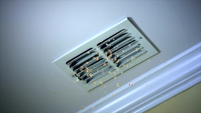 HVAC System Cleaning in SC