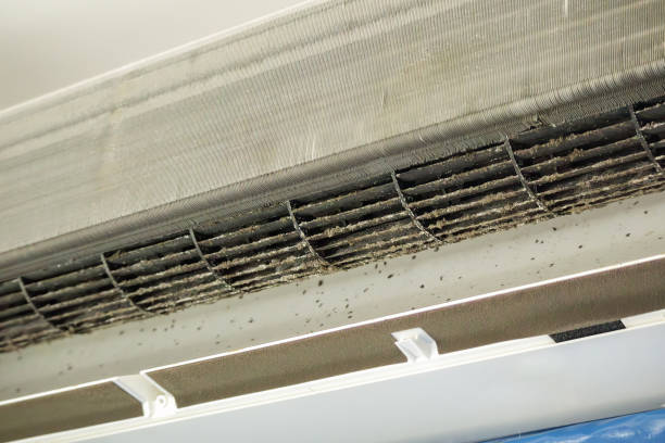 Best Emergency Air Duct Cleaning  in Blythewood, SC